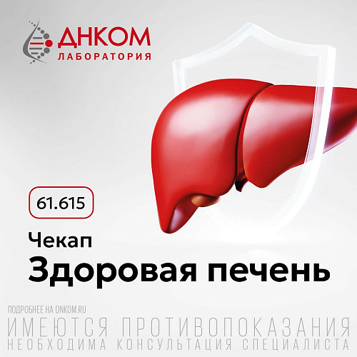Здоровая печень