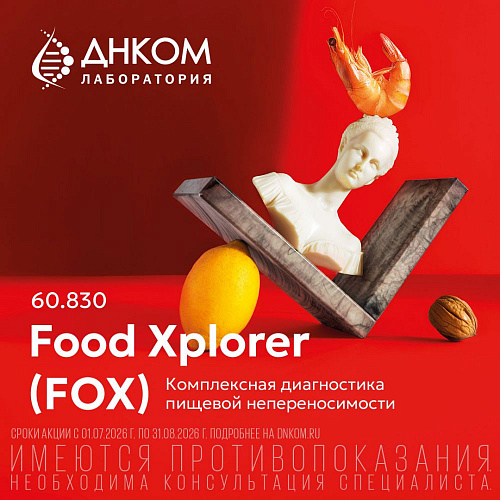 Food XPlorer